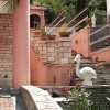 61.Μιξη Χρωματισμων
